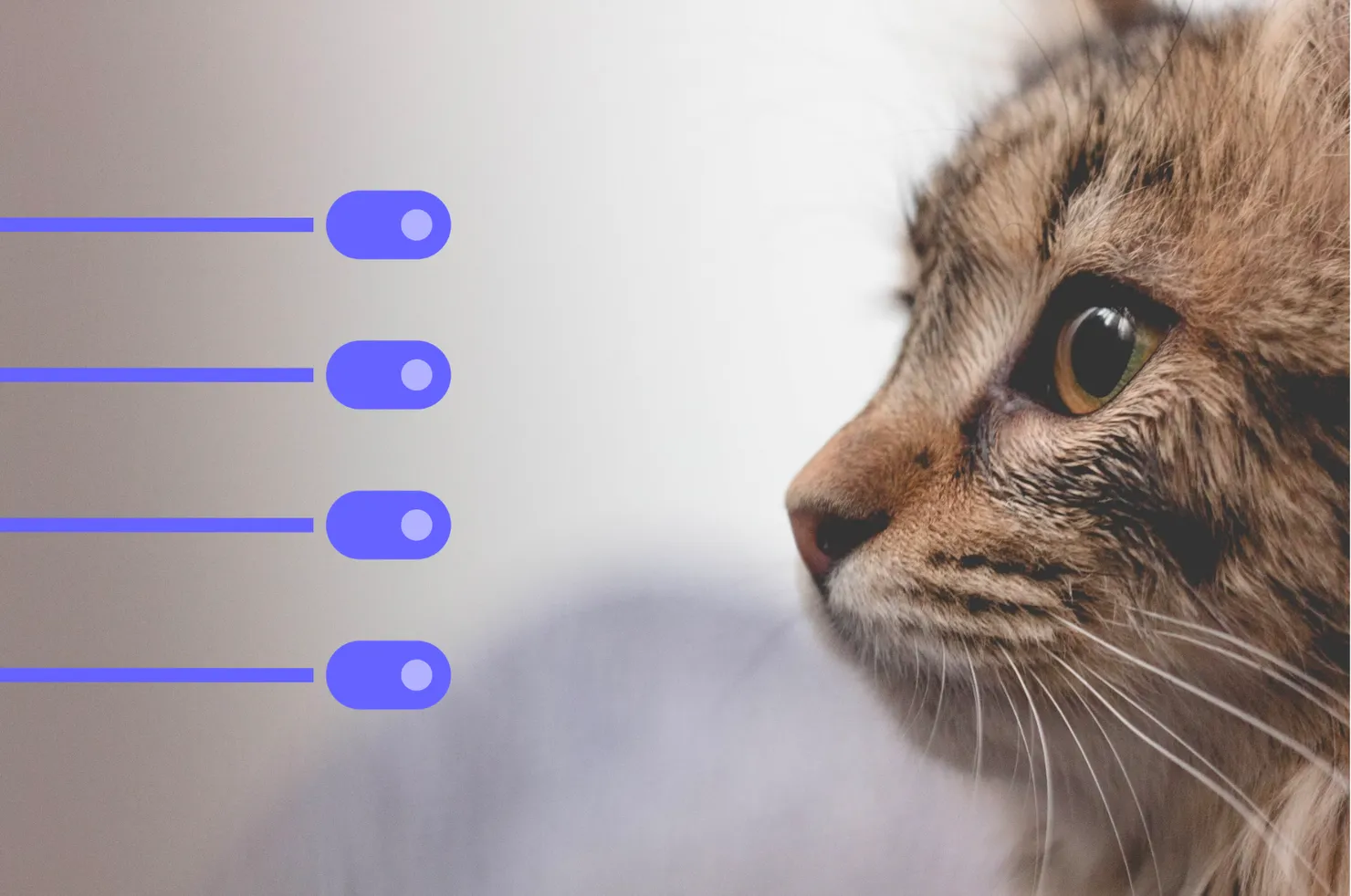 Four toggle and a cat as Nest.js reference
