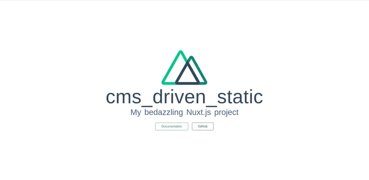 First npm run dev Nuxtjs
