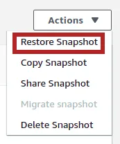 Restore snapshot from RDS database
